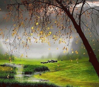(79) Paisagem