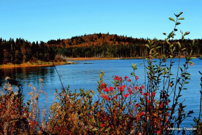 Coastal landscape