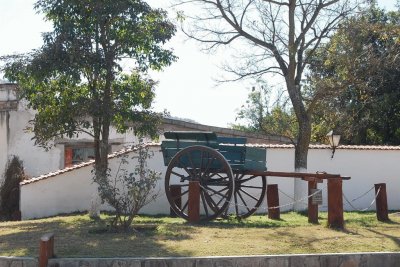 En Campo Quijano. Salta. Argentina