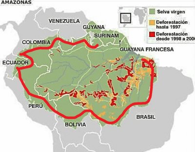 deforestacion