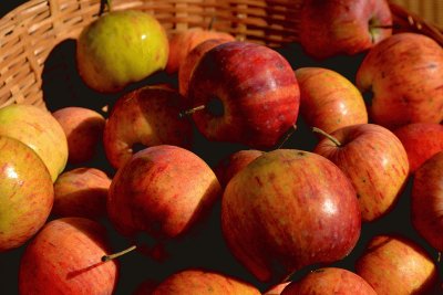 Apple Basket jigsaw puzzle