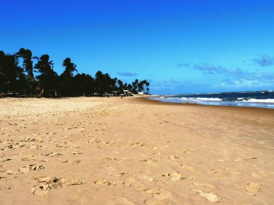 Praia do Forte. Salvador de Bahia jigsaw puzzle