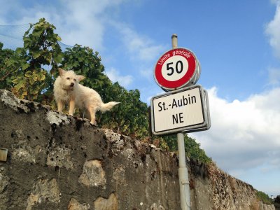 La SecuritÃ©