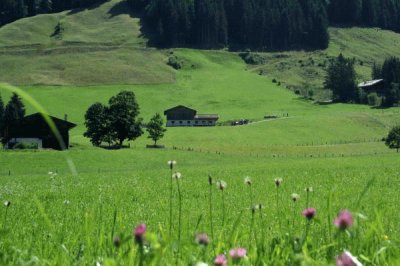 Prato di Montagna jigsaw puzzle