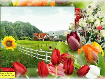 5rv43wr7b6c5z4w
