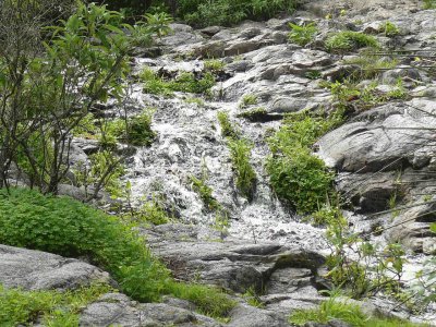 Barranco de Los CernÃ­calos. Gran Canaria