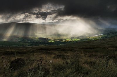 Irlanda
