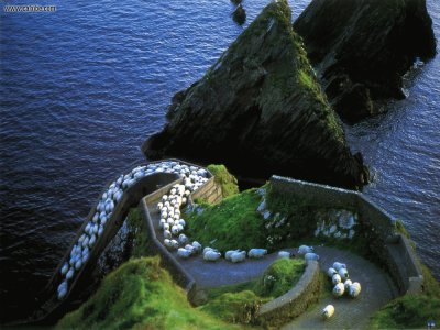 Irlanda