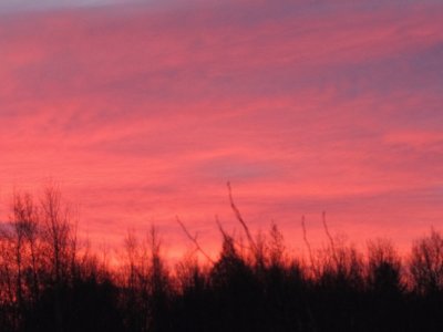 Sunrise from our backyard this morning