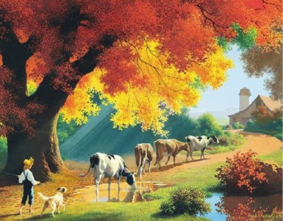 campo jigsaw puzzle