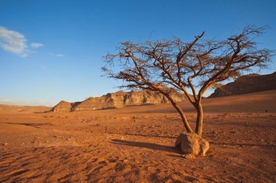 פאזל של Deserto