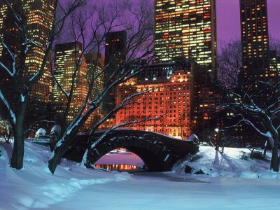 new york innevata jigsaw puzzle