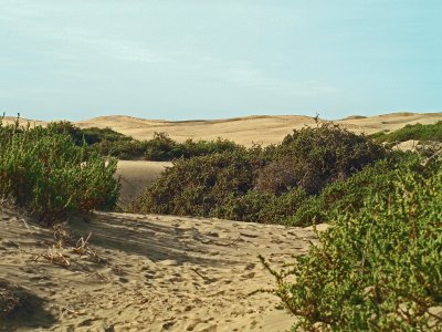 dunas maspalomas