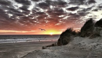 Beach Northern Germany jigsaw puzzle