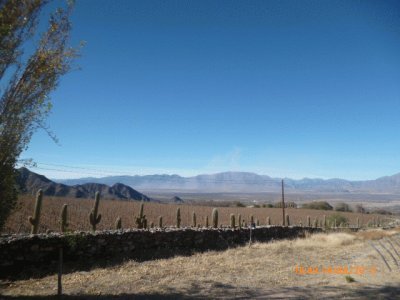 Cafayate