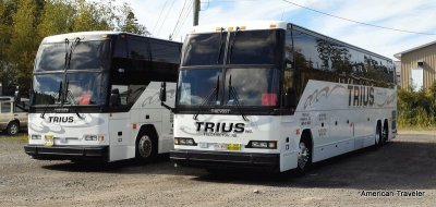 פאזל של Buses