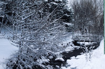 le pont blanc