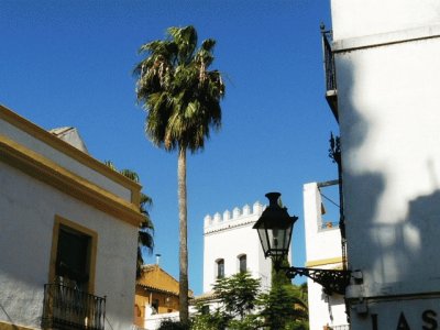 פאזל של Barrio de Santa Cruz. Sevilla