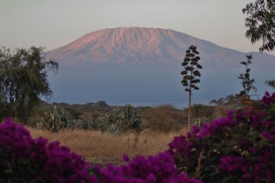 KILIMANJARO