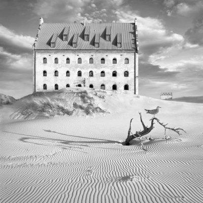 Dariusz Klimczak jigsaw puzzle