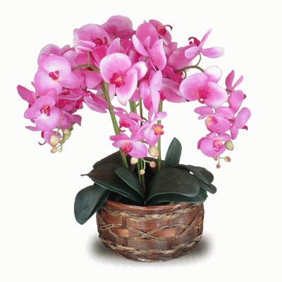 Orquideas6 jigsaw puzzle