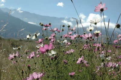 cosmos jigsaw puzzle