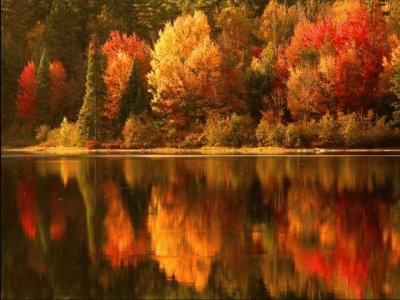 otoÃ±o