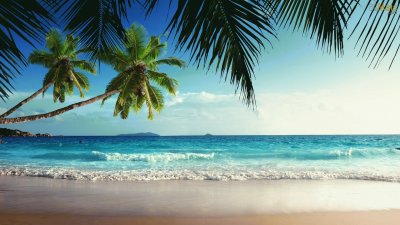 Praia Tropical jigsaw puzzle