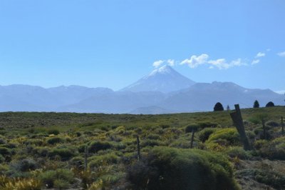 JunÃ­n de los Andes, NeuquÃ©n, Argentina