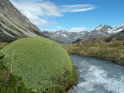 Lago Paso Valdivieso. Tierra del Fuego. Argentina