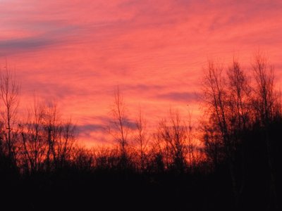 Brilliant sunrise over the field