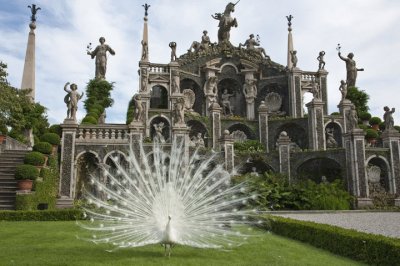 JardÃ­n en las islas Borromeas-Italia