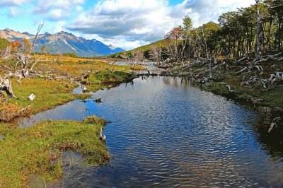 Valle de los Lobos. Tierra del Fuego. Argentina