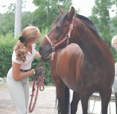 This boy is 25 yr old Fandango with InÃ©s SchÃ¶ppe