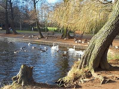 The Lake at Wollaton jigsaw puzzle