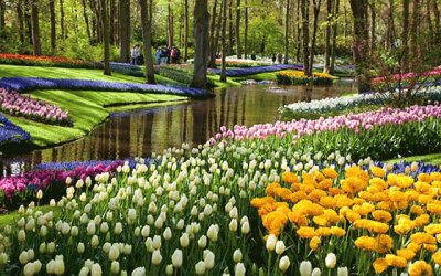 JardÃ­n holandÃ©s en Keukenhof