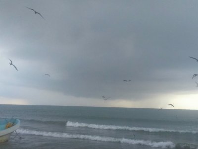 PLAYA
