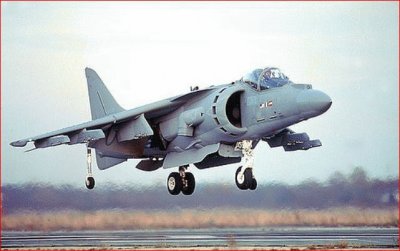 HARRIER jigsaw puzzle