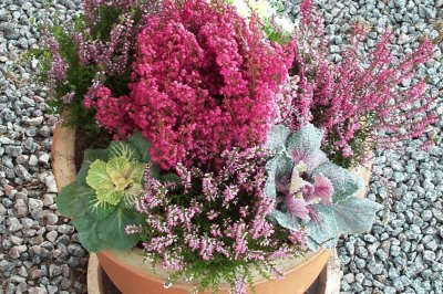 Autumn flower pot, Sweden