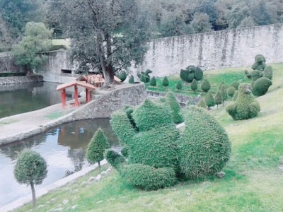 פאזל של jardines del centro ceremonial edo. de mexico