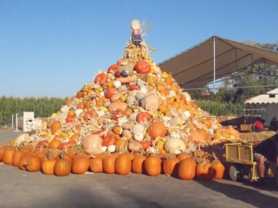 Squash tower jigsaw puzzle