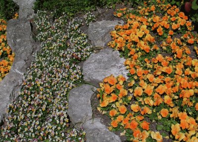 Orange and yellow flower beds, Gotland jigsaw puzzle