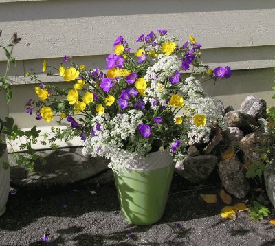 Wildflowers in vase, Balestrand, Norway