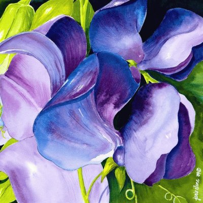 Purple Sweet Peas Painting