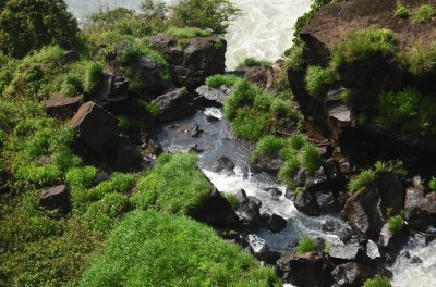 En el PN IguazÃº. Misiones. Argentina