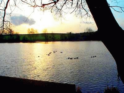 Osborne 's Pond, Shipley jigsaw puzzle