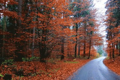 otoÃ±o