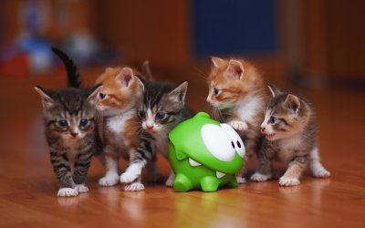 ANIMALES
