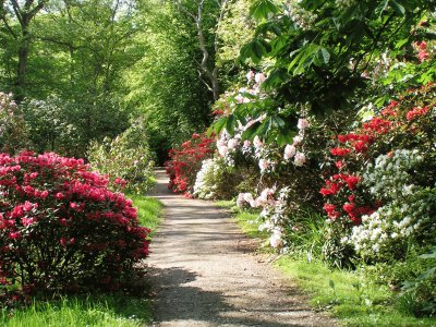 spring-160