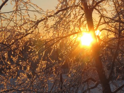 Sunrise after the ice storm NB Jan 24 2017